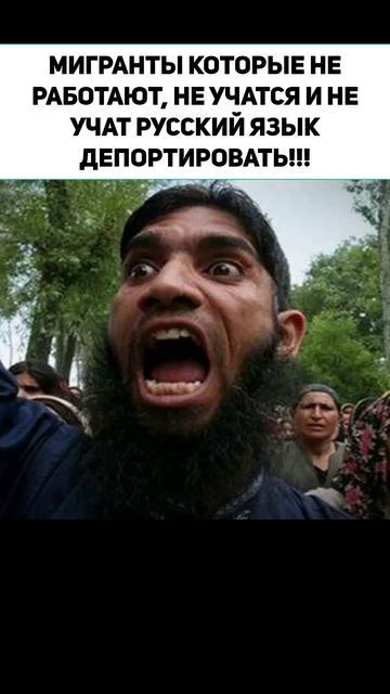 МИГРАНТЫ КОТОРЫЕ НЕ РАБОТАЮТ, НЕ УЧАТСЯ И НЕ УЧАТ РУССКИЙ ЯЗЫК ДЕПОРТИРОВАТЬ!!!