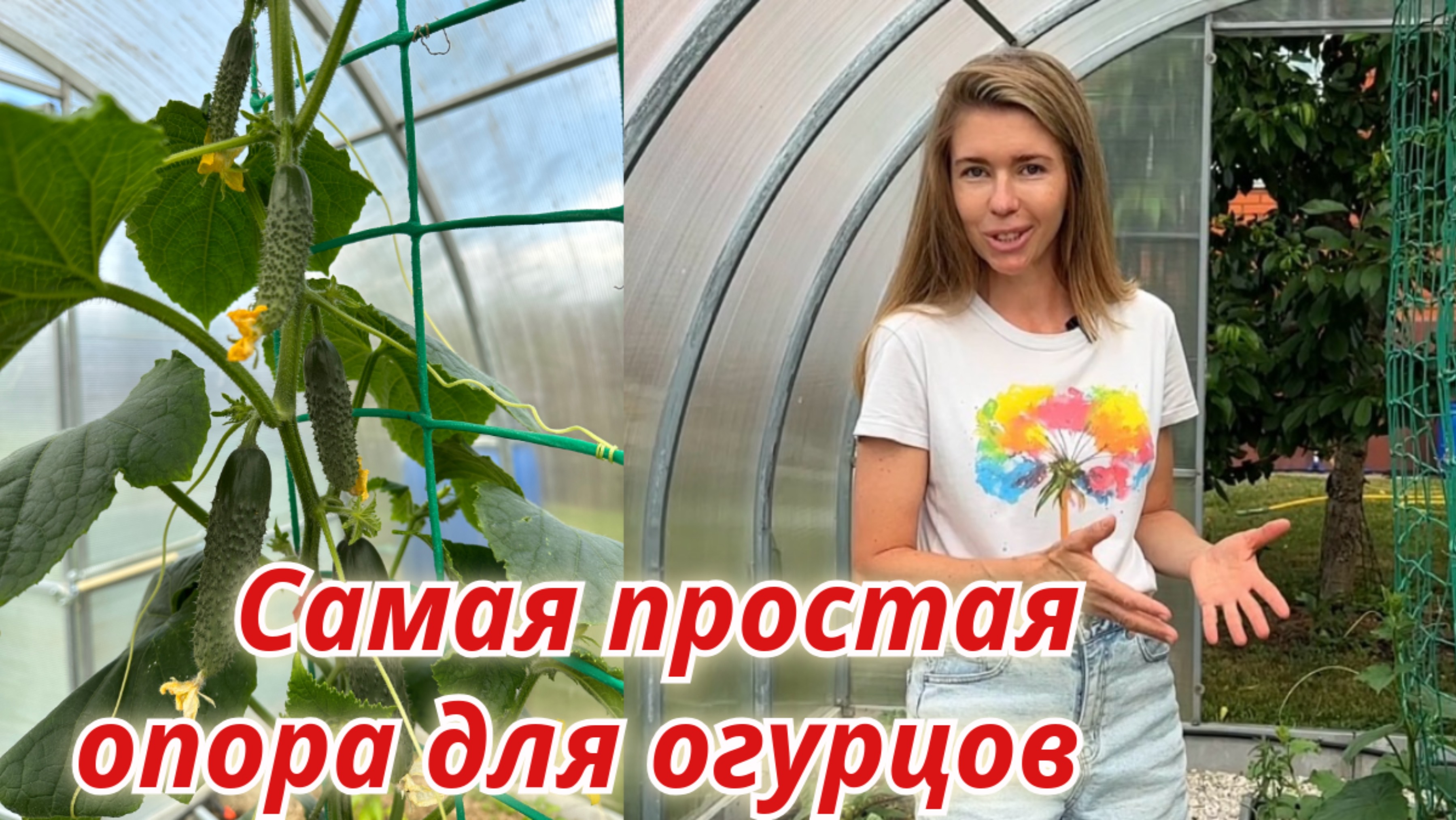 ОГУРЦЫ НА СЕТКЕ: простая опора для легкого ухода