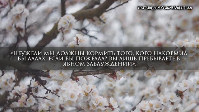 Сура 36 Йа Син С ПЕРЕВОДОМ