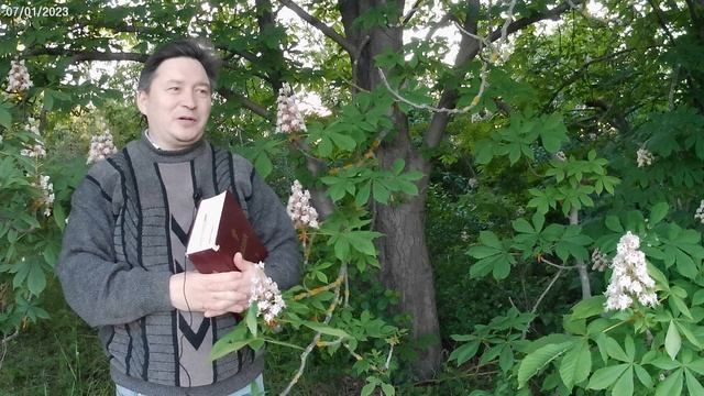 А если б не было закона?