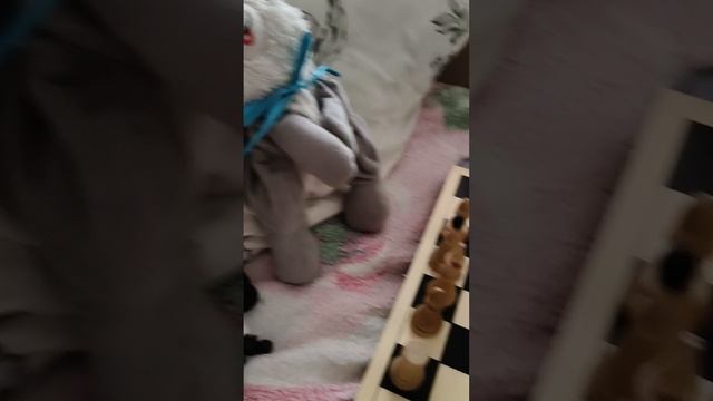 Боря и Фёдор играют в шахматы