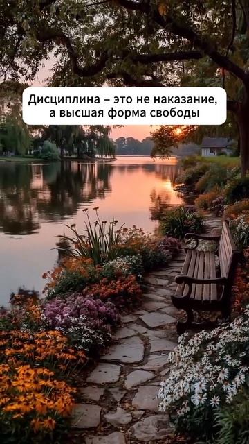 С дисциплиной – ты архитектор своей судьбы 👇 #shorts #мотивация #заработок #деньги #успех #бизнес