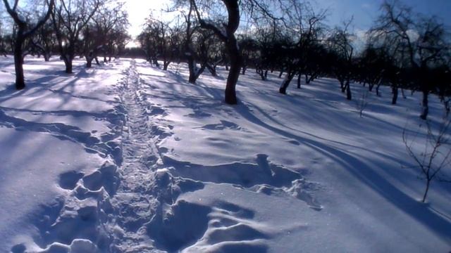 МИНИ ВЛОГ ГУЛЯЮ В ЗИМНЕМ ЯБЛОЧНОМ САДУ 27.02.2018