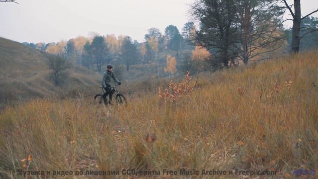 Это видео - как объятие древнего дерева! - Swirl Me in Your Mind -- Ayla Nereo -- Play Me a Time