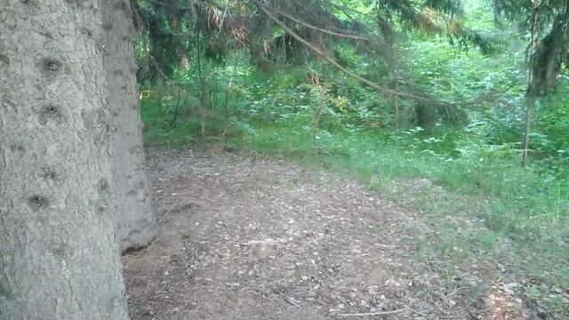20250609_201141.mp4