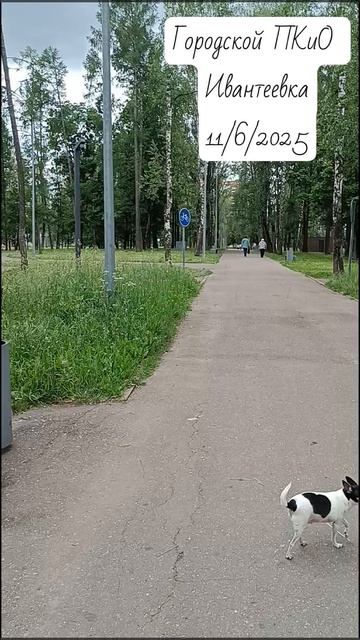 Парки Подмосковья