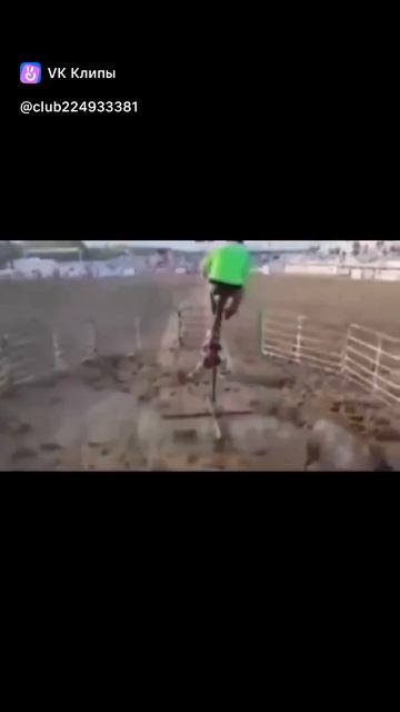 clip-224933381_456239735