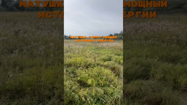 Мотивация дня