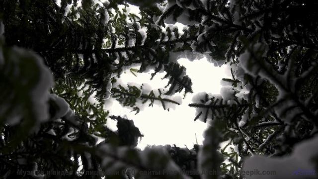 Звуки, используемые для материализации мыслей - это уже реальность! - Side 2 -- Lance Romance -- Ses