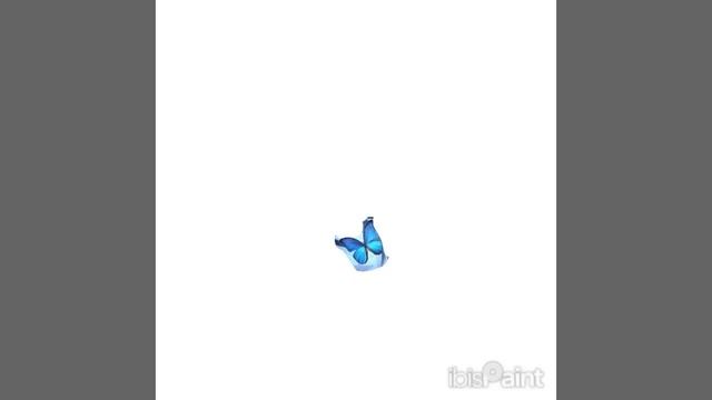 1000022399.mp4