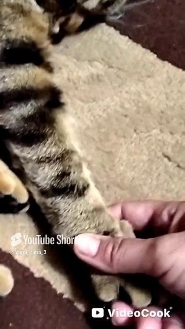 ✨ Жить здесь и сейчас...