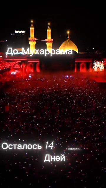 copy_1C48CFE8-1DDE-4E76-B577-E8BA41BC4710.mov