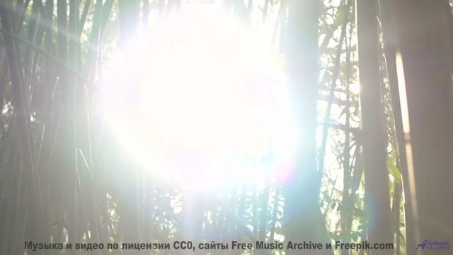 Музыка превращает съёмку в настоящий портал в мечты - Protecting My Soul -- Kirk Osamayo -- Season T