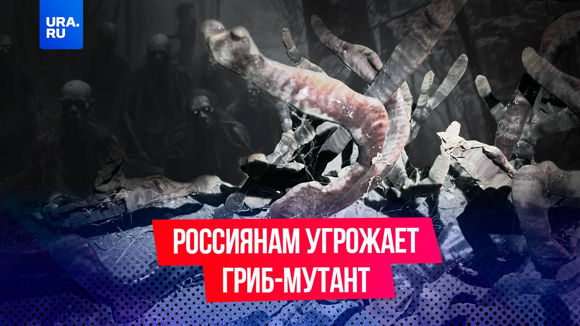 Гриб-мутант в Ленинградской области держит в заложниках жильцов целого дома