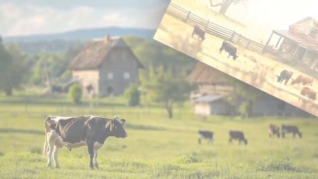 Ты же хотел раздельный бюджет? Что ж, теперь живи на св?