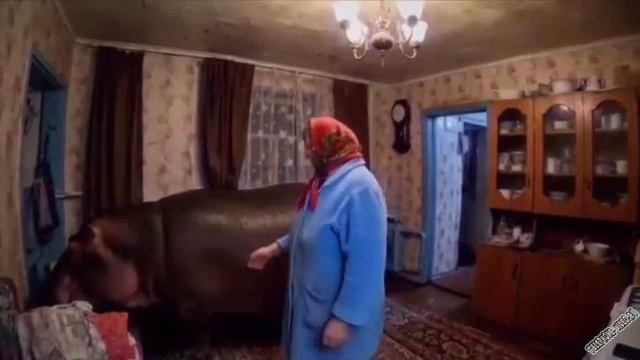 Булька - барабулька