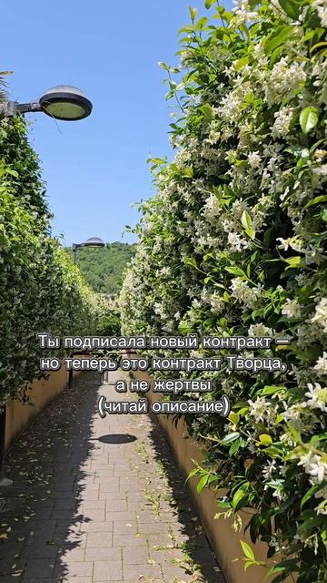 Ты подписала новый контракт – но теперь это контракт Творца, а не жертвы