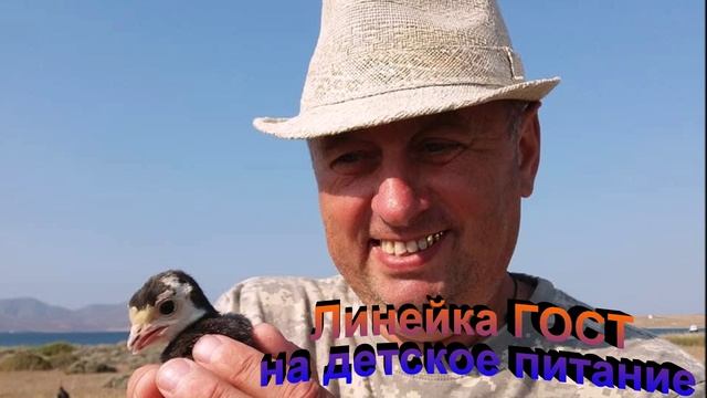 Линейка ГОСТ на детское питание