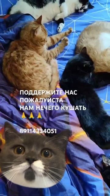 ЧЕЛОВЕК ПОМОГИ 🙏🆘