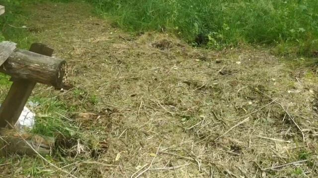 Долгая дорога... в дюнах, в прерии, в пампасах)))