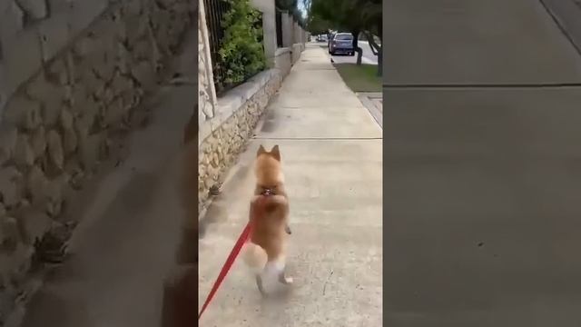 Так выглядит СЧАСТЬЕ 🤩