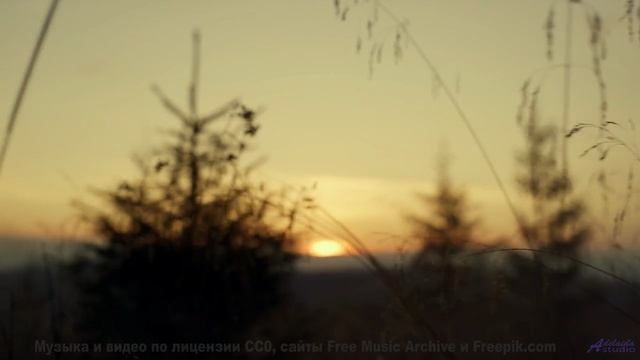Песня, от которой по коже бегут мурашки страсти! - There is a blue bird in my coffe -- Cartouch -- C