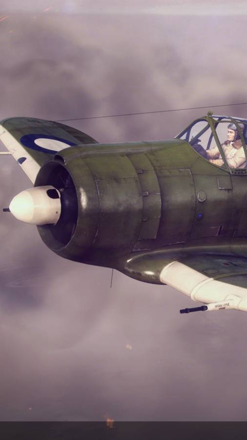 Boomerang. "Самый опасный враг в Warplanes" :)