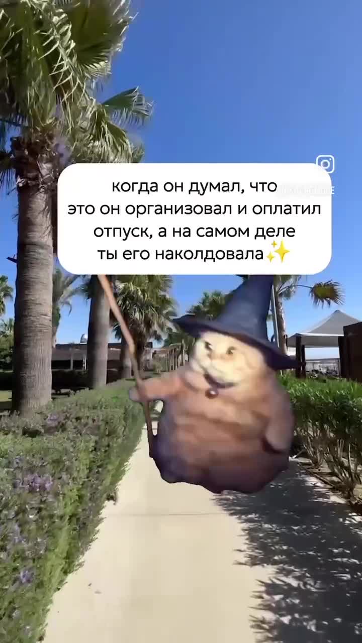 Рыжий кот маг в шапке шляпе / колпаке волшебника с палкой в руке / лапе стоит посреди темного леса🧙