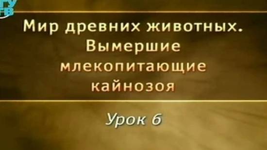 Вымершие млекопитающие # 6. Древние кошачьи и примитивные копытные
