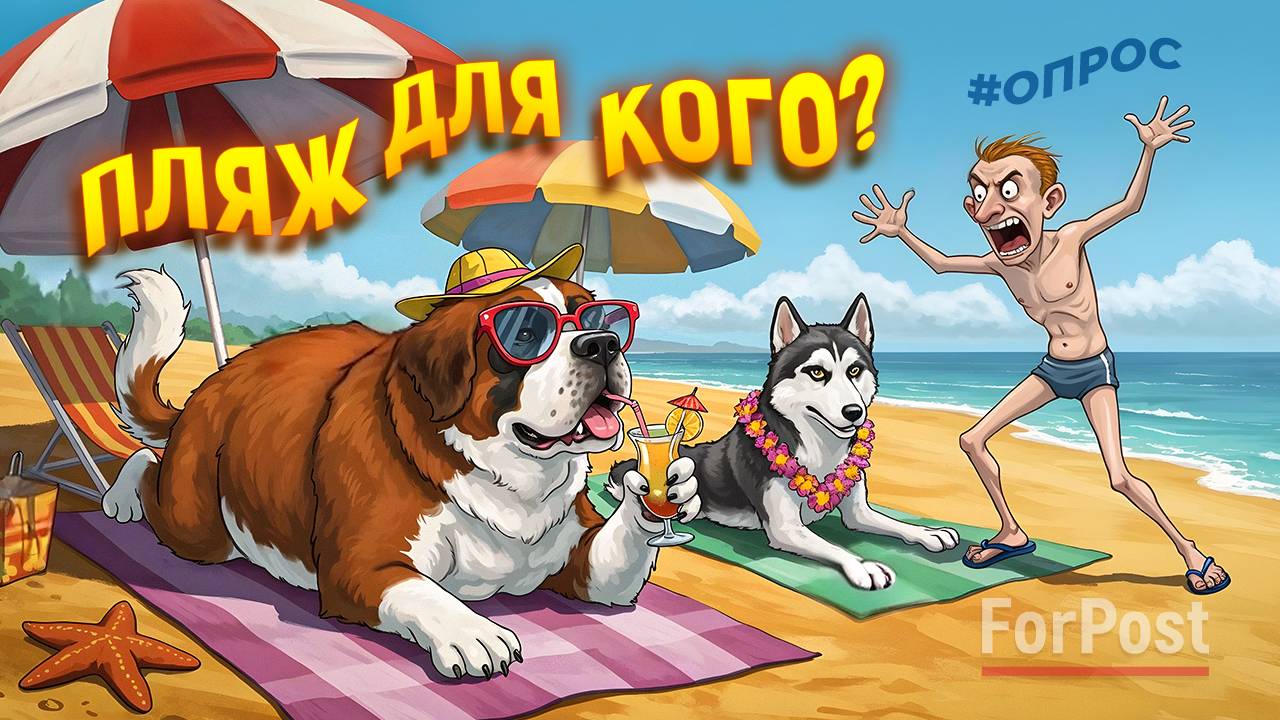 С собаками на пляж нельзя! А куда можно? - опрос ForPost