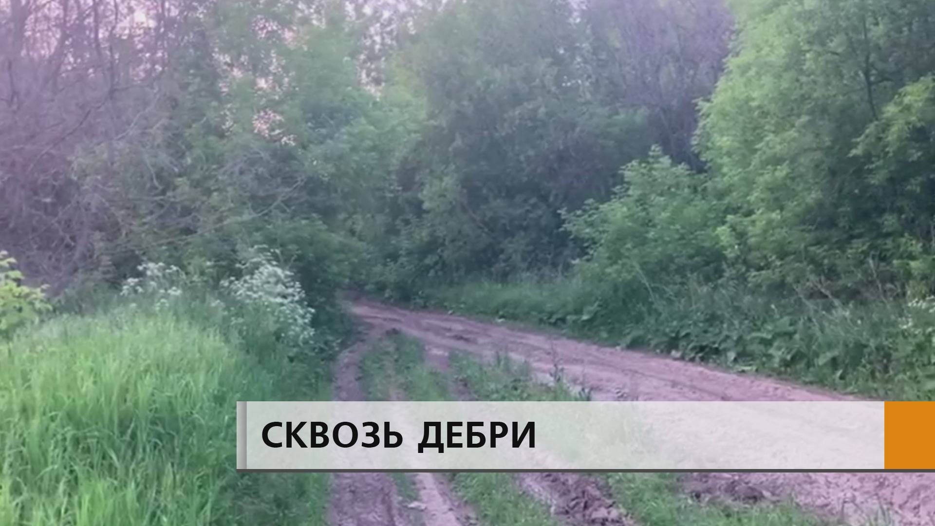 Думали что вопрос с землей наконец сдвинулся с мертвой точки, но оказалось, что радовались напрасно