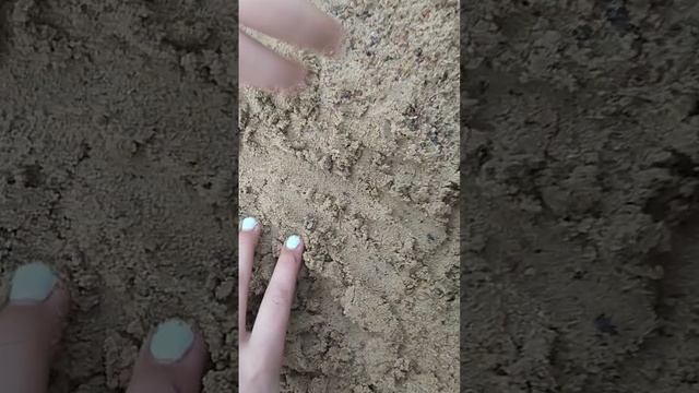 инструктаж как делать отраву для крыс