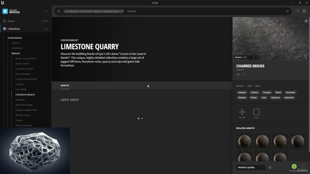 12 Процесс добавления объектов из Quixel Megascans с помощью Qui