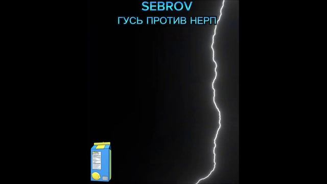 sebrov - ГУСЬ ПРОТИВ НЕРП (слив трека, 2025)