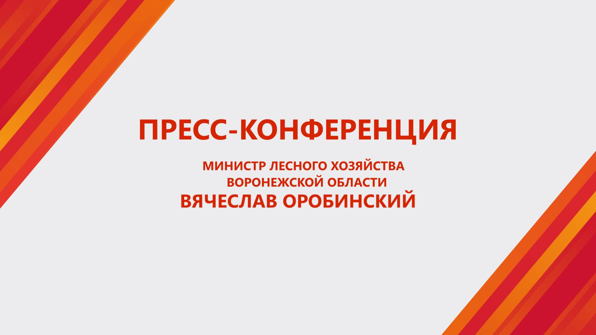 Пресс-конференция министра лесного хозяйства Воронежской области Вячеслава Оробинского