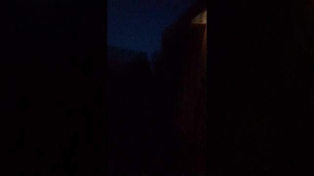 мы снимаем с дедом осиное гнездо