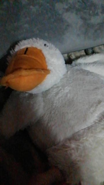 VID_20250611_215109.mp4
