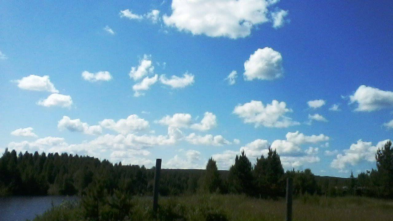 Моему избранному автору Татьяне Немшановой.