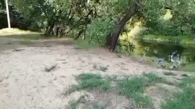 #Interesting video