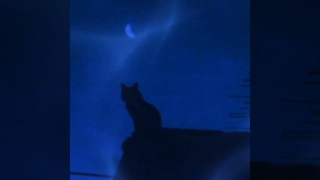 это видео я выложила что бы вам сообщить плохую новость.. в опис.

(видео не мое)
