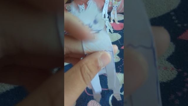 Обзор на трех новых бумажных собачек♥️ спасибо за имена старым собачкам♥️😊