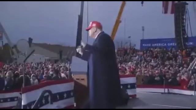 Dancing Трамп-Taco