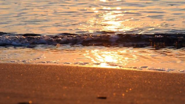 The Ocean 4K - Scenic Wildlife Film With Calming   No Copyright Video   Free 4K  Video