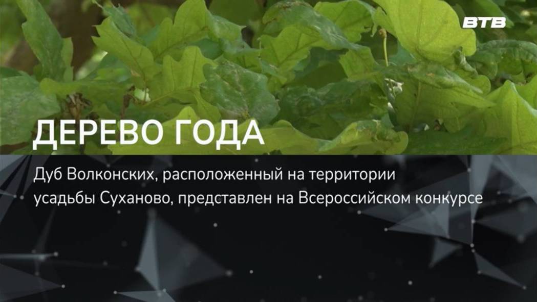 ДЕРЕВО ГОДА