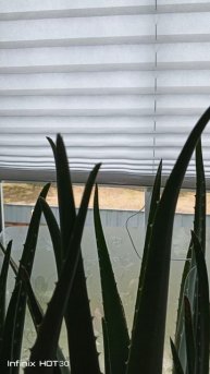 Мир за шторкой.