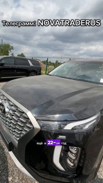 Hyundai Palisade из Кореи получили в Москве #automobile #hyundai #palisade #shorts #обзор