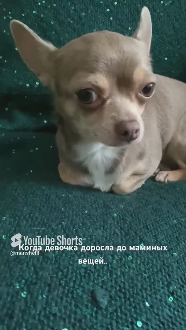 Доросла до маминой одежды