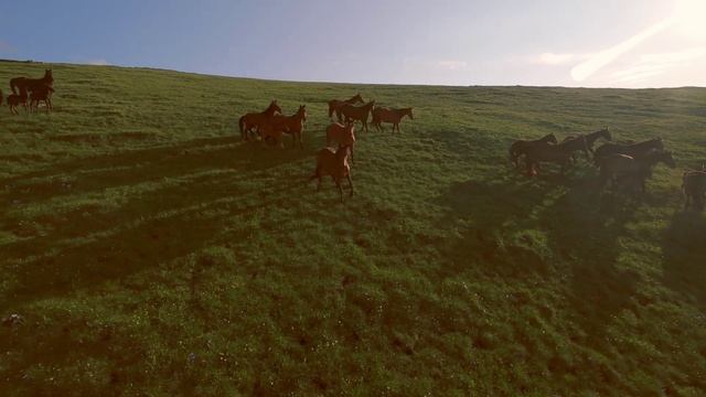 Мехтыген