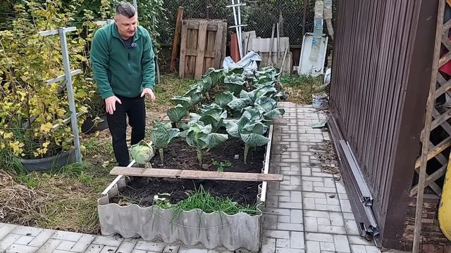 Високі грядки, корисні поради!