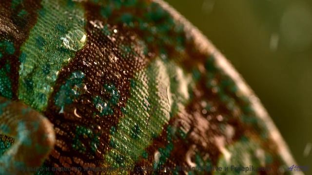 Клип, созданный блокчейном - технологии меняют искусство! - Pop Rock 2 -- Johannes Grote -- Unnamed